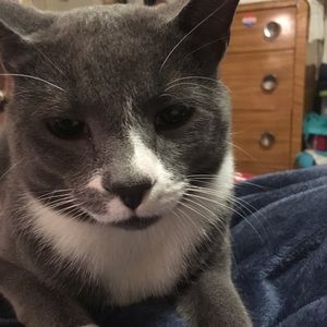 Meet your Posher, Ellen